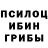 Галлюциногенные грибы GOLDEN TEACHER CoinsPlay