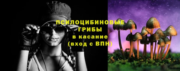 соль курить ск Богородск