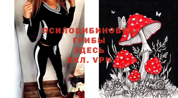 прущая мука Богданович