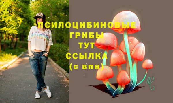 соль курить ск Богородск